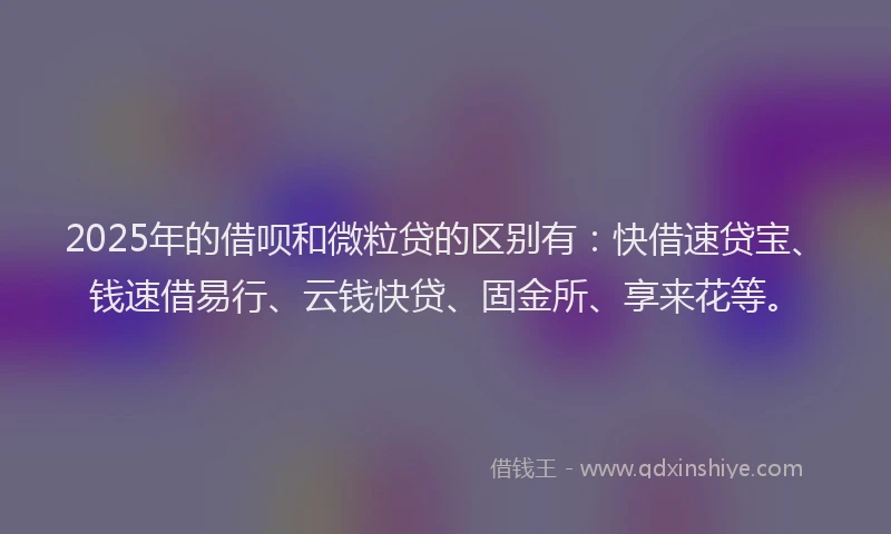 2025年的借呗和微粒贷的区别有：快借速贷宝、钱速借易行、云钱快贷、固金所、享来花等。