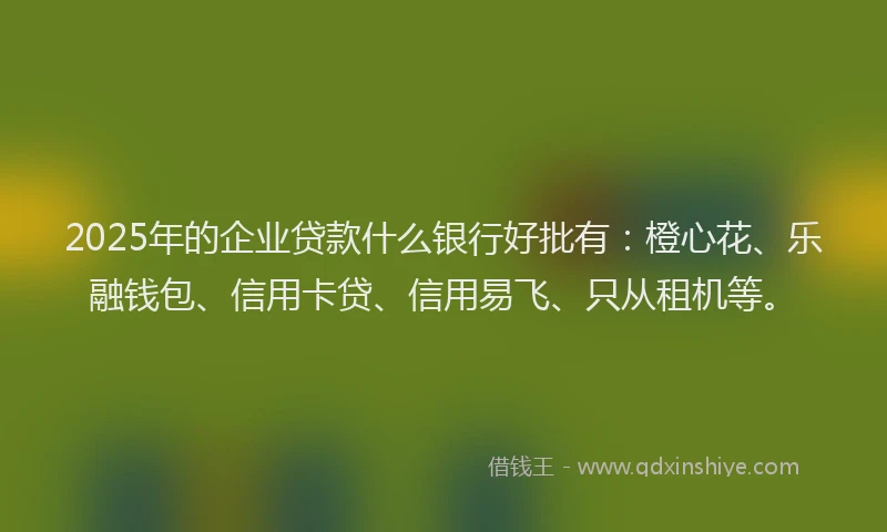 2025年的企业贷款什么银行好批有：橙心花、乐融钱包、信用卡贷、信用易飞、只从租机等。