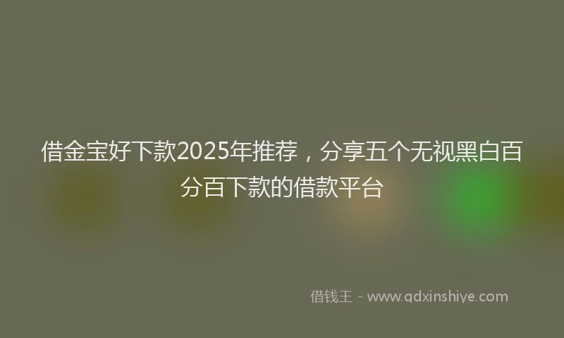 借金宝好下款2025年推荐，分享五个无视黑白百分百下款的借款平台