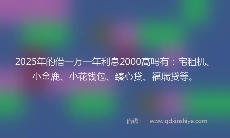 2025年的借一万一年利息2000高吗有：宅租机、小金鹿、小花钱包、臻心贷、福瑞贷等。
