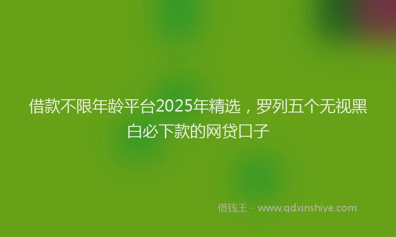借款不限年龄平台2025年精选，罗列五个无视黑白必下款的网贷口子