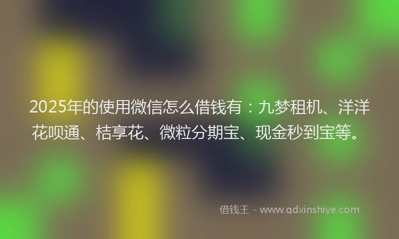2025年的使用微信怎么借钱有：九梦租机、洋洋花呗通、桔享花、微粒分期宝、现金秒到宝等。