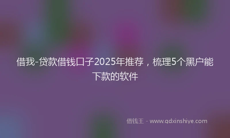 借我-贷款借钱口子2025年推荐，梳理5个黑户能下款的软件
