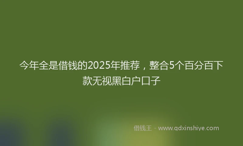 今年全是借钱的2025年推荐，整合5个百分百下款无视黑白户口子