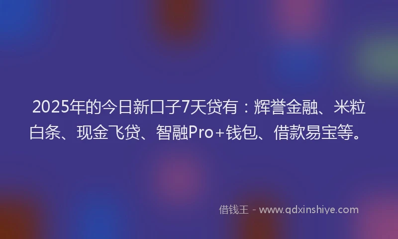 2025年的今日新口子7天贷有：辉誉金融、米粒白条、现金飞贷、智融Pro+钱包、借款易宝等。