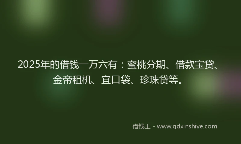 2025年的借钱一万六有：蜜桃分期、借款宝贷、金帝租机、宜口袋、珍珠贷等。