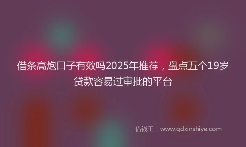 借条高炮口子有效吗2025年推荐，盘点五个19岁贷款容易过审批的平台