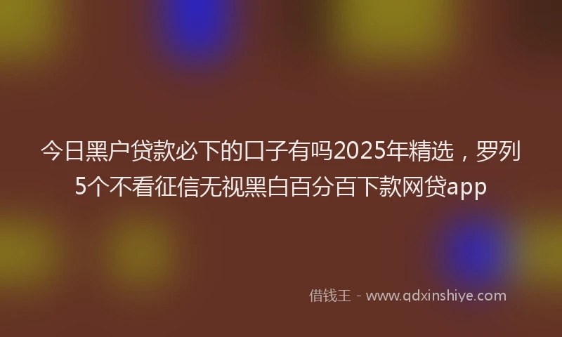 今日黑户贷款必下的口子有吗2025年精选，罗列5个不看征信无视黑白百分百下款网贷app