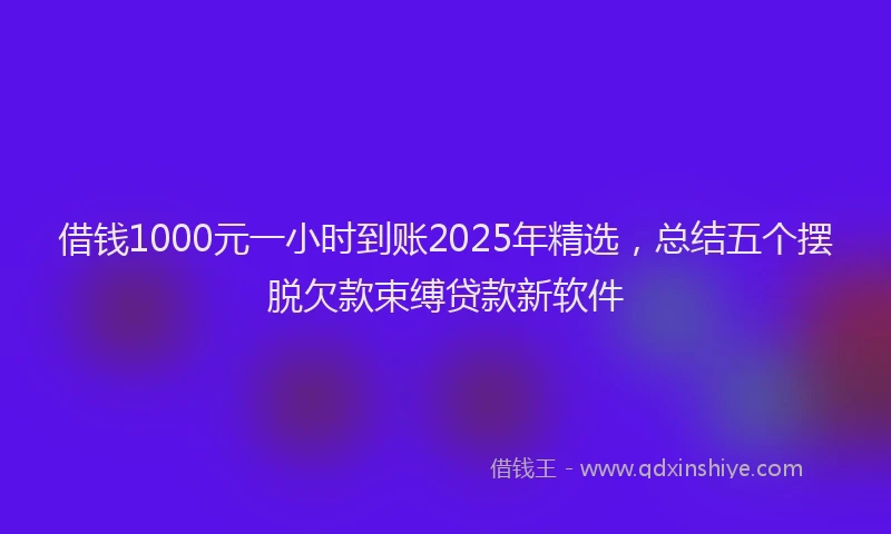 借钱1000元一小时到账2025年精选，总结五个摆脱欠款束缚贷款新软件