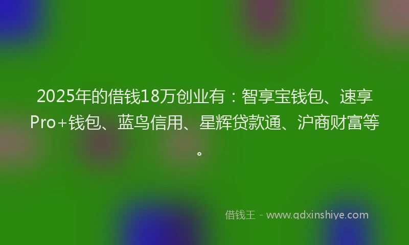 2025年的借钱18万创业有：智享宝钱包、速享Pro+钱包、蓝鸟信用、星辉贷款通、沪商财富等。