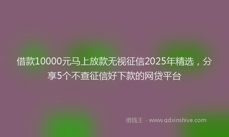 借款10000元马上放款无视征信2025年精选，分享5个不查征信好下款的网贷平台