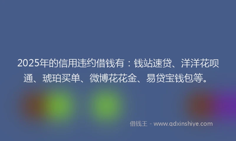 2025年的信用违约借钱有：钱站速贷、洋洋花呗通、琥珀买单、微博花花金、易贷宝钱包等。