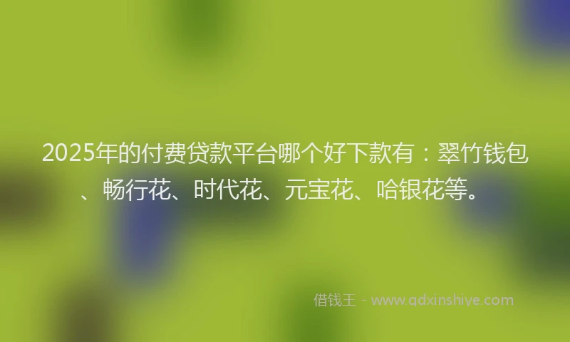 2025年的付费贷款平台哪个好下款有：翠竹钱包、畅行花、时代花、元宝花、哈银花等。