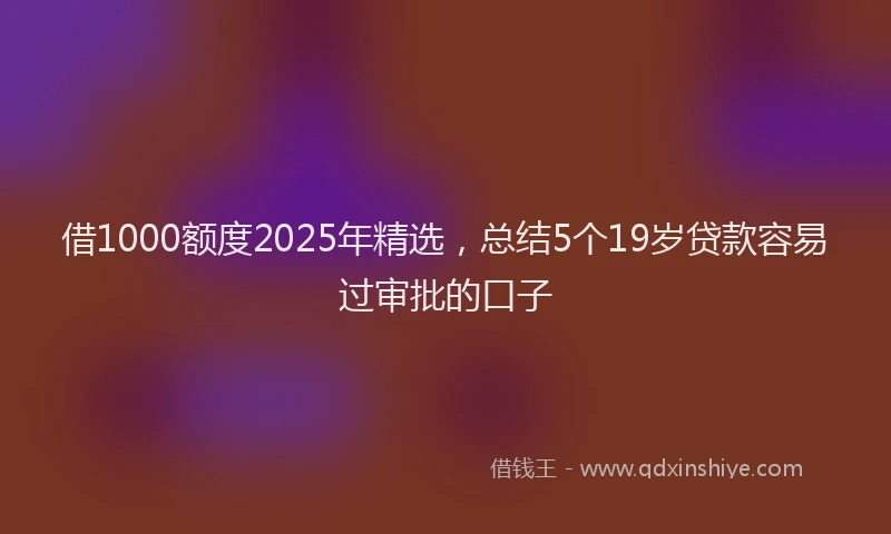 借1000额度2025年精选，总结5个19岁贷款容易过审批的口子