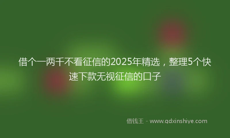 借个一两千不看征信的2025年精选，整理5个快速下款无视征信的口子