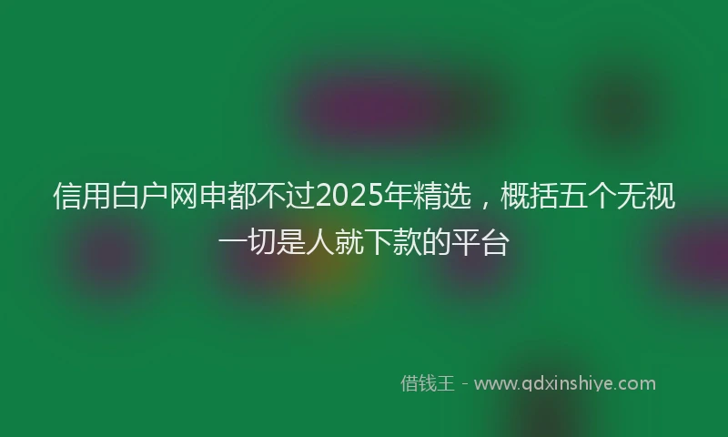 信用白户网申都不过2025年精选，概括五个无视一切是人就下款的平台