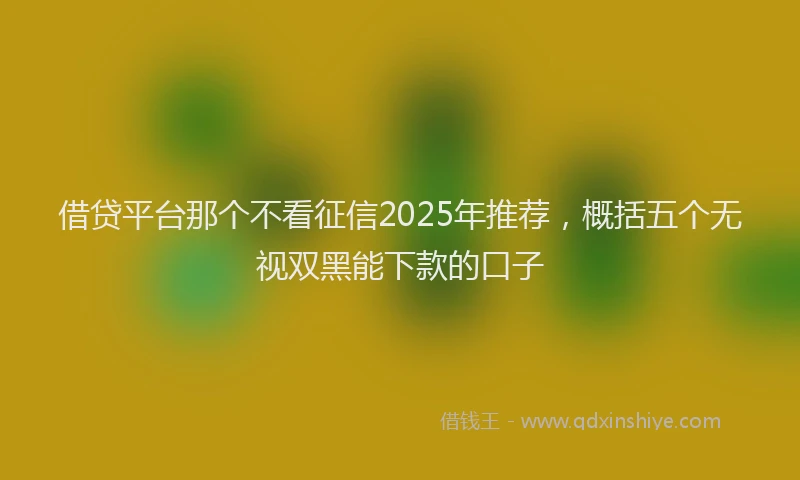 借贷平台那个不看征信2025年推荐，概括五个无视双黑能下款的口子