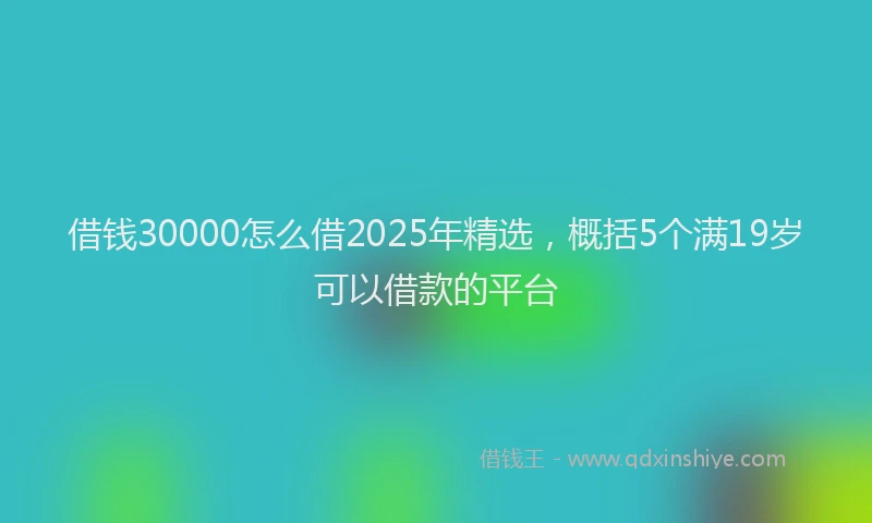 借钱30000怎么借2025年精选，概括5个满19岁可以借款的平台