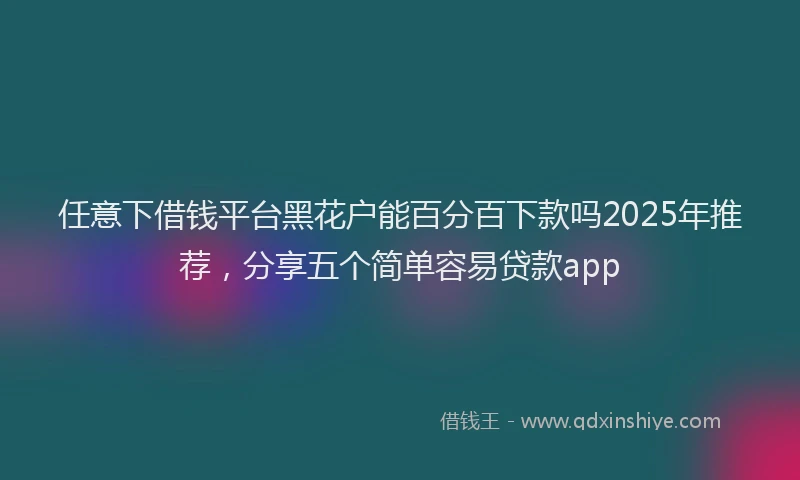 任意下借钱平台黑花户能百分百下款吗2025年推荐，分享五个简单容易贷款app