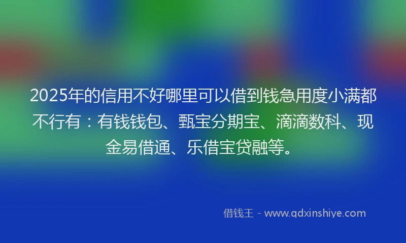2025年的信用不好哪里可以借到钱急用度小满都不行有：有钱钱包、甄宝分期宝、滴滴数科、现金易借通、乐借宝贷融等。
