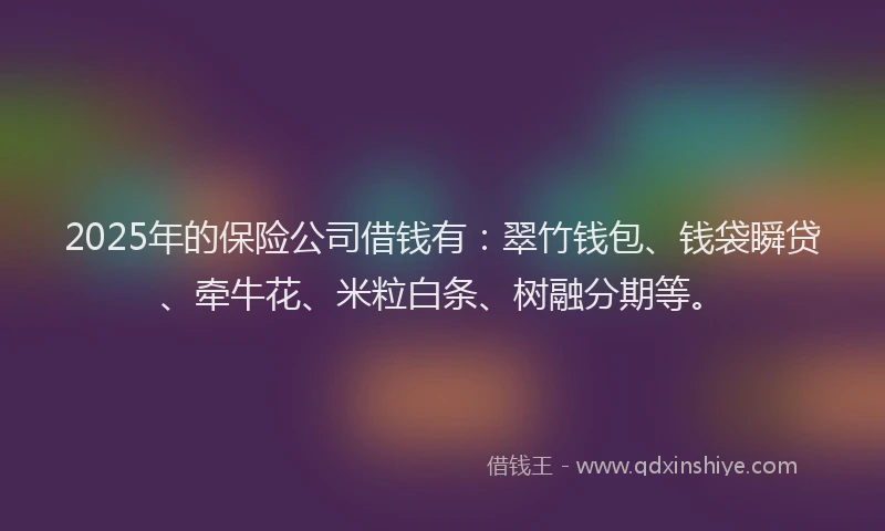 2025年的保险公司借钱有：翠竹钱包、钱袋瞬贷、牵牛花、米粒白条、树融分期等。