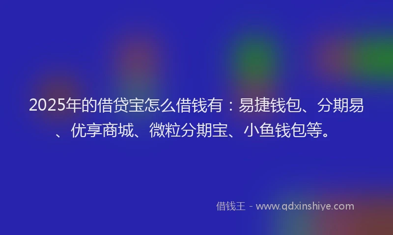 2025年的借贷宝怎么借钱有：易捷钱包、分期易、优享商城、微粒分期宝、小鱼钱包等。