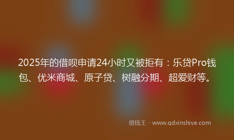 2025年的借呗申请24小时又被拒有：乐贷Pro钱包、优米商城、原子贷、树融分期、超爱财等。