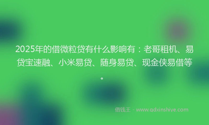 2025年的借微粒贷有什么影响有：老哥租机、易贷宝速融、小米易贷、随身易贷、现金侠易借等。