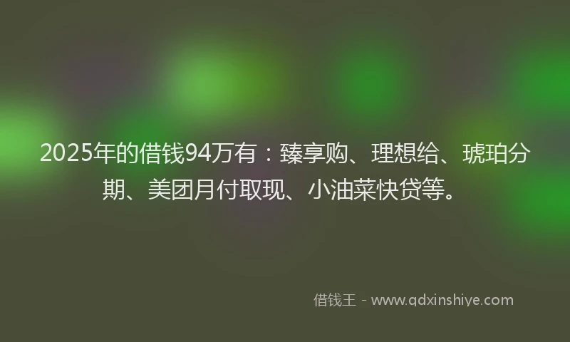 2025年的借钱94万有：臻享购、理想给、琥珀分期、美团月付取现、小油菜快贷等。