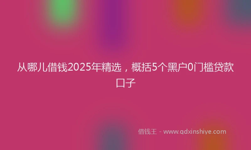 从哪儿借钱2025年精选，概括5个黑户0门槛贷款口子