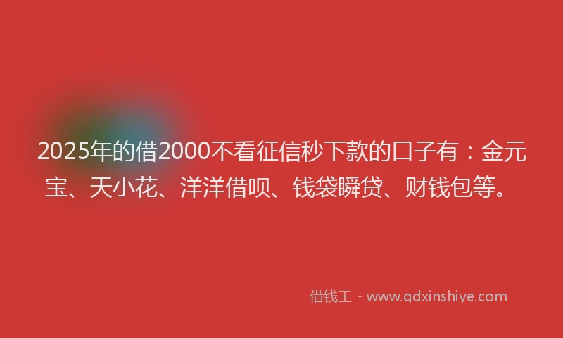 2025年的借2000不看征信秒下款的口子有：金元宝、天小花、洋洋借呗、钱袋瞬贷、财钱包等。