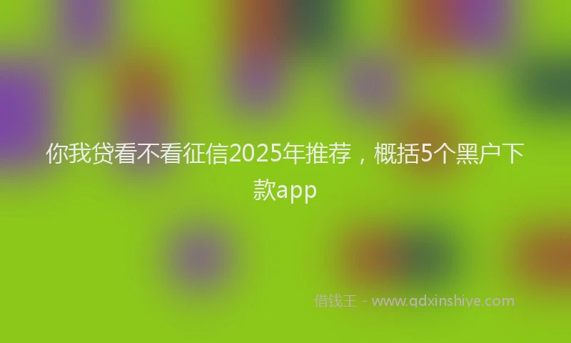 你我贷看不看征信2025年推荐，概括5个黑户下款app