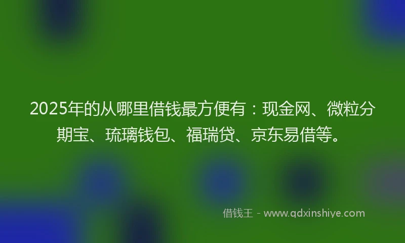 2025年的从哪里借钱最方便有：现金网、微粒分期宝、琉璃钱包、福瑞贷、京东易借等。