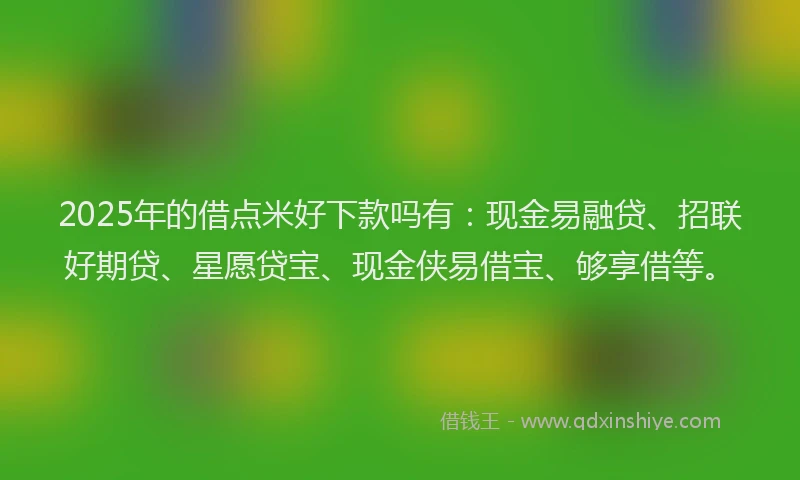 2025年的借点米好下款吗有：现金易融贷、招联好期贷、星愿贷宝、现金侠易借宝、够享借等。
