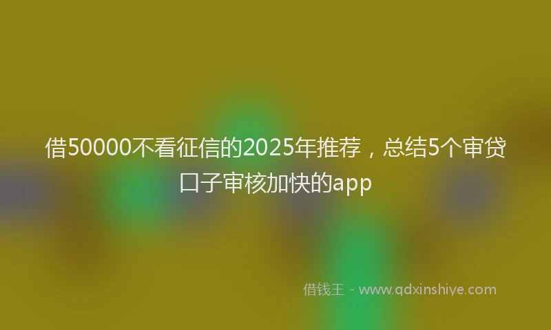 借50000不看征信的2025年推荐，总结5个审贷口子审核加快的app