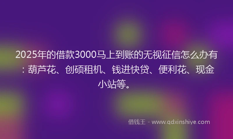 2025年的借款3000马上到账的无视征信怎么办有：葫芦花、创硕租机、钱进快贷、便利花、现金小站等。