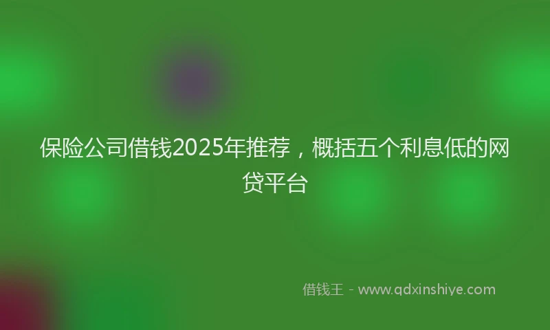 保险公司借钱2025年推荐，概括五个利息低的网贷平台