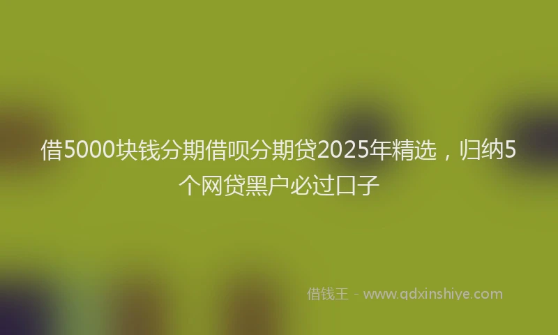 借5000块钱分期借呗分期贷2025年精选，归纳5个网贷黑户必过口子