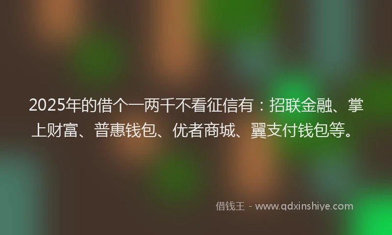 2025年的借个一两千不看征信有：招联金融、掌上财富、普惠钱包、优者商城、翼支付钱包等。