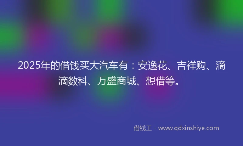 2025年的借钱买大汽车有：安逸花、吉祥购、滴滴数科、万盛商城、想借等。