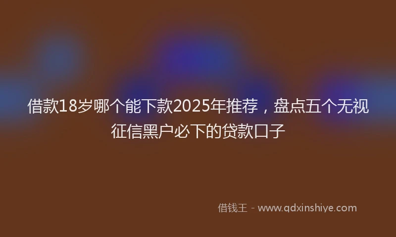 借款18岁哪个能下款2025年推荐，盘点五个无视征信黑户必下的贷款口子