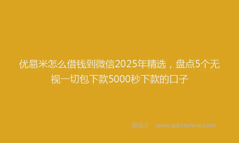 优易米怎么借钱到微信2025年精选，盘点5个无视一切包下款5000秒下款的口子