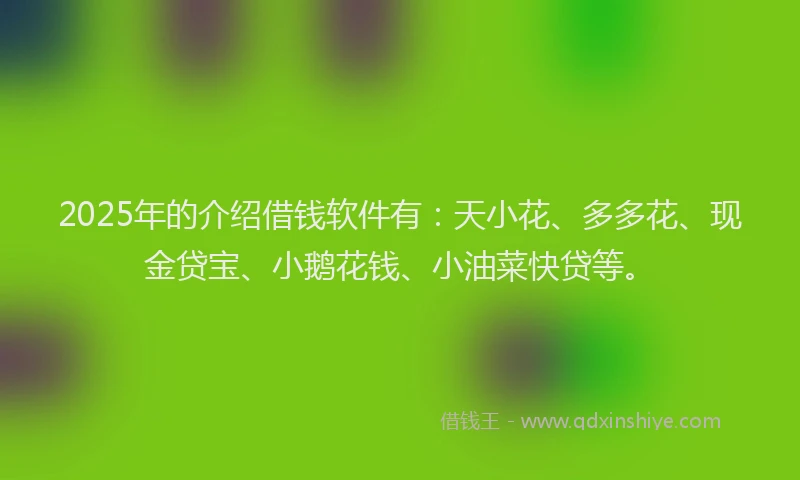 2025年的介绍借钱软件有：天小花、多多花、现金贷宝、小鹅花钱、小油菜快贷等。