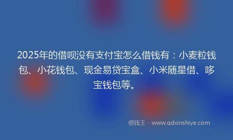 2025年的借呗没有支付宝怎么借钱有：小麦粒钱包、小花钱包、现金易贷宝盒、小米随星借、哆宝钱包等。