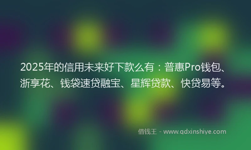 2025年的信用未来好下款么有：普惠Pro钱包、浙享花、钱袋速贷融宝、星辉贷款、快贷易等。