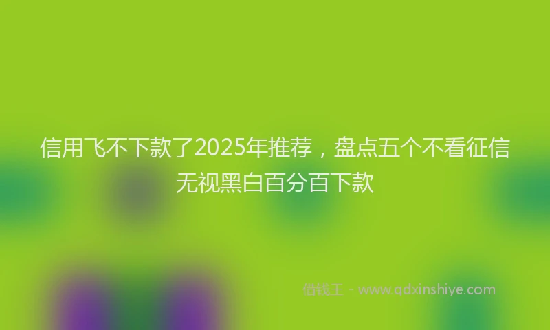 信用飞不下款了2025年推荐，盘点五个不看征信无视黑白百分百下款