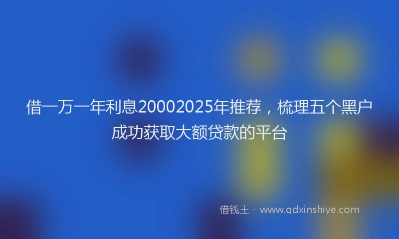 借一万一年利息20002025年推荐，梳理五个黑户成功获取大额贷款的平台