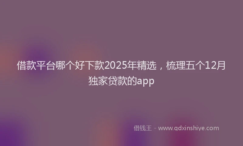 借款平台哪个好下款2025年精选，梳理五个12月独家贷款的app