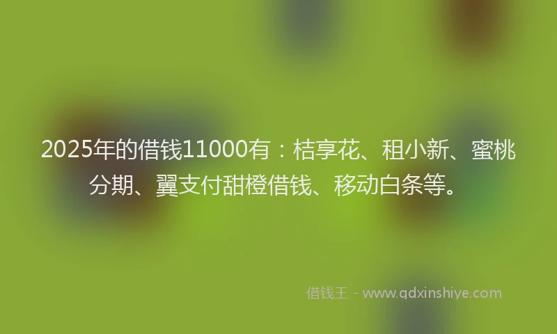 2025年的借钱11000有：桔享花、租小新、蜜桃分期、翼支付甜橙借钱、移动白条等。
