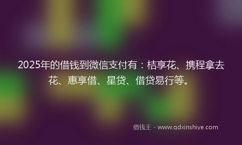 2025年的借钱到微信支付有：桔享花、携程拿去花、惠享借、星贷、借贷易行等。